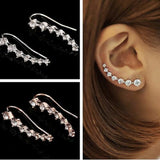 Boucle D'oreille Earrings