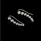 Boucle D'oreille Earrings