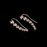 Boucle D'oreille Earrings