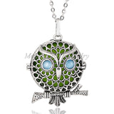 Oil Diffuser Stainless Steel Open Locket